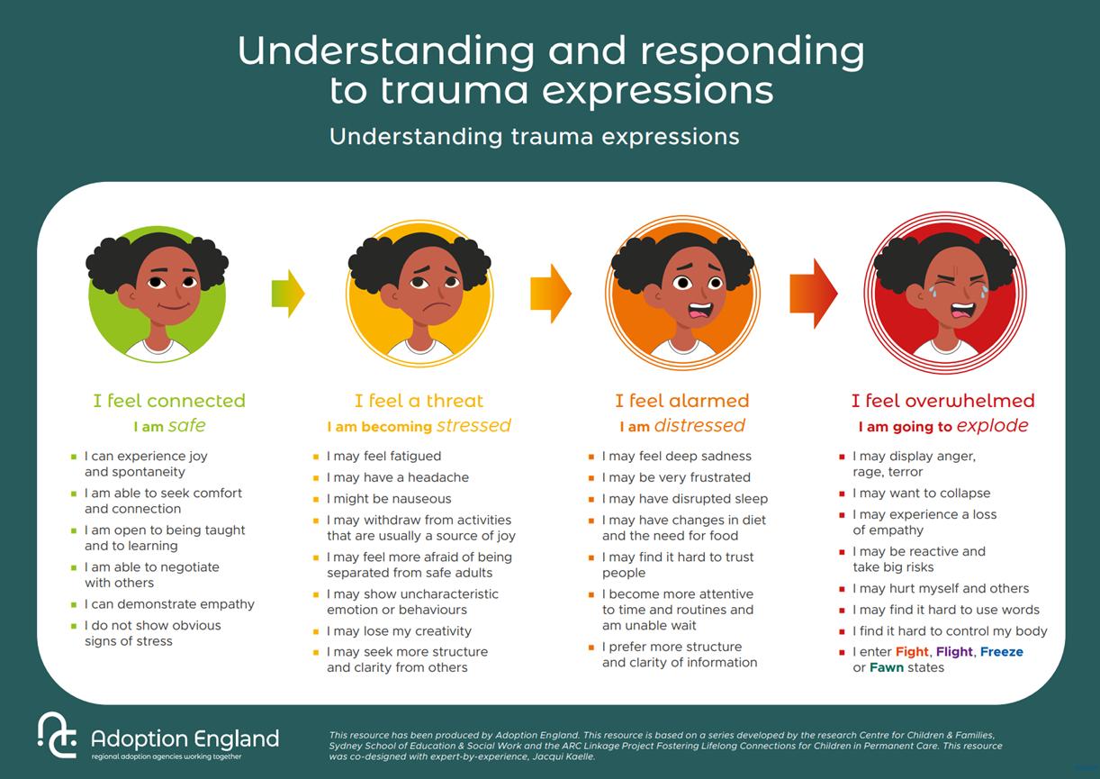 Understanding and responding to trauma expressions guide
