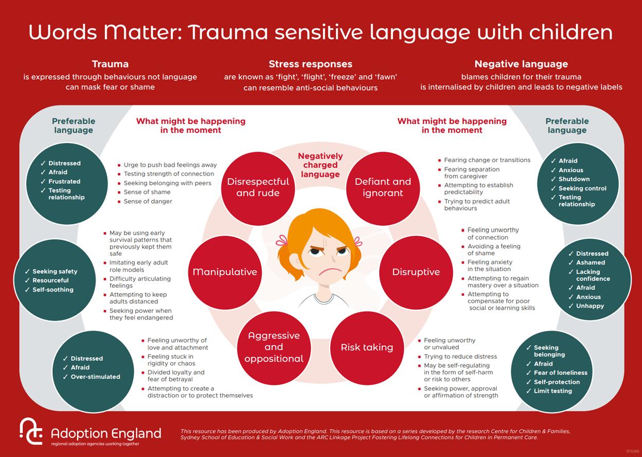 Words matter example infographic